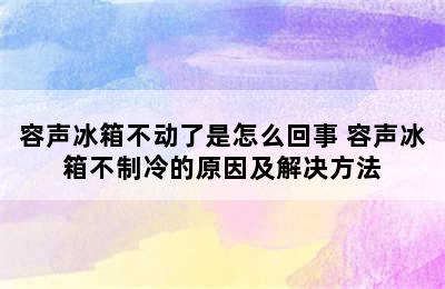 容声冰箱不动了是怎么回事 容声冰箱不制冷的原因及解决方法